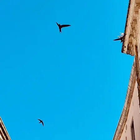 Via Dell'azzurra Bed and Breakfast