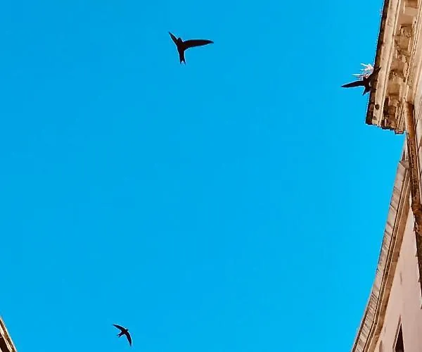 Via Dell'azzurra Panzió