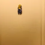 Via Dell'azzurra Couette-café 3*