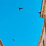 Via Dell'azzurra Couette-café